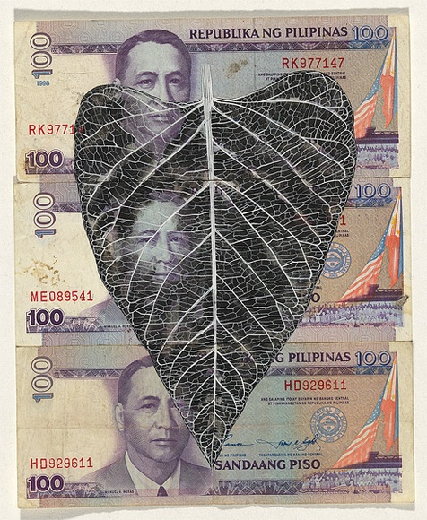 Artist: b'HALL, Fiona' | Title: b'Ipomoea aquatica - Water spinach (The Philippines currency)' | Date: 2000 - 2002 | Technique: b'gouache' | Copyright: b'\xc2\xa9 Fiona Hall' Artist: b'HALL, Fiona' | Title: b'Ipomoea aquatica - Water spinach (The Philippines currency)' | Date: 2000 - 2002 | Technique: b'gouache' | Copyright: b'\xc2\xa9 Fiona Hall'
