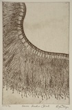 Artist: b'Thorpe, Lyn.' | Title: b'Emu feather skirt' | Date: 1999, April | Technique: b'etching, printed in black ink, from one plate'