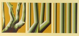 Artist: Cole-Adams, Brigid. | Title: not titled. | Date: 1973 | Technique: screenprint, printed in colour, from eight stencils