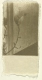 Title: Absence [fifth etching] | Date: 2000-2004 | Technique: photo-etching, printed in graphite and gold powder, from one plate