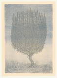 Artist: Johnstone, Ruth. | Title: Rosemary for remembrance of things past | Date: 1998, August | Technique: lithograph, printed in colour, from two stones