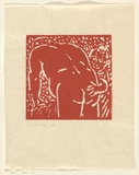 Artist: Dawson, Janet. | Title: not titled. | Date: 1993, March | Technique: linocut, printed in rust ink, from one block | Copyright: © Janet Dawson. Licensed by VISCOPY, Australia