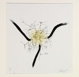 Artist: COLEING, Tony | Title: Drawing for sculpture [2]. | Date: 1970 | Technique: lithograph, printed in colour, from two stones [or plates]