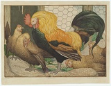 Artist: Waller, M. Napier. | Title: Bantams. | Date: c.1932 | Technique: linocut, printed in colour, from multiple blocks