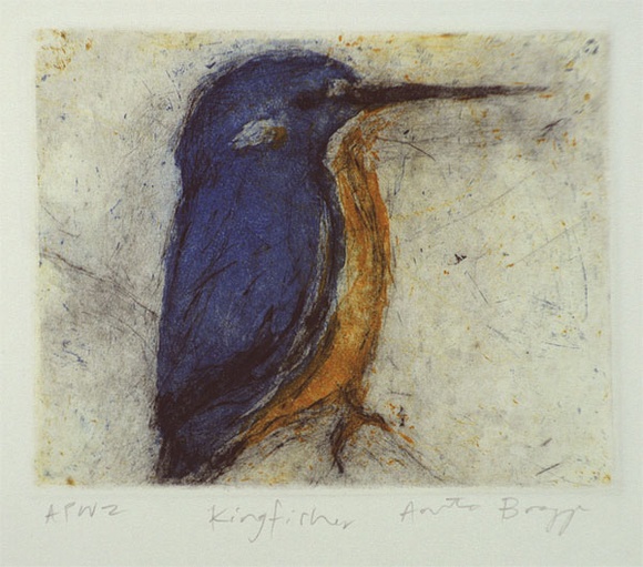 Artist: b'Bragge, Anita.' | Title: b'Kingfisher' | Date: 1998 | Technique: b'aquatint, sugarlift and drypoint, printed in colour, from three plates' Artist: b'Bragge, Anita.' | Title: b'Kingfisher' | Date: 1998 | Technique: b'aquatint, sugarlift and drypoint, printed in colour, from three plates'