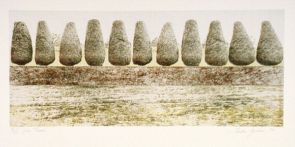 Artist: b'Geier, Helen.' | Title: b'Yew trees' | Date: 1973 | Technique: b'photo-lithograph, printed in colour, from multiple plates' Artist: b'Geier, Helen.' | Title: b'Yew trees' | Date: 1973 | Technique: b'photo-lithograph, printed in colour, from multiple plates'