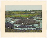 Artist: Newberry, Angela. | Title: Fogg dam. | Date: 1995 | Technique: screenprint, printed in colour, from multiple stencils