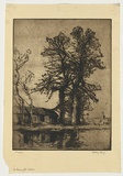 Artist: b'Long, Sydney.' | Title: b'The home of the rooks' | Date: 1918 | Technique: b'line-etching, printed in warm black ink with plate-tone, from one copper plate' | Copyright: b'Reproduced with the kind permission of the Ophthalmic Research Institute of Australia'