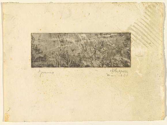 Artist: b'Halpern, Stacha.' | Title: b'not titled [Abstraction]' | Date: 1959 | Technique: b'etching and aquatint, printed in black ink, from one plate'