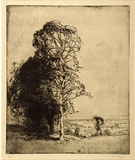 Artist: b'Long, Sydney.' | Title: b'Landscape, Epping Forest' | Date: c.1919 | Technique: b'line-etching, printed in warm black ink with plate-tone, from one copper plate' | Copyright: b'Reproduced with the kind permission of the Ophthalmic Research Institute of Australia'