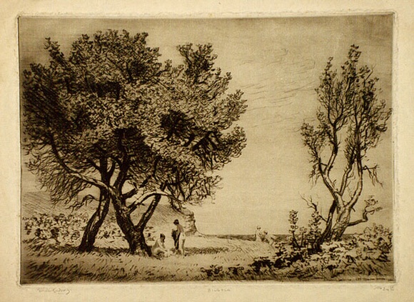 Artist: LINDSAY, Lionel | Title: Bilgola | Date: 1921 | Technique: drypoint, printed in brown ink with plate-tone, from one plate | Copyright: Courtesy of the National Library of Australia