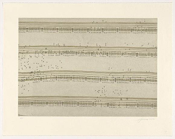 Artist: b'Rose, Jacqueline.' | Title: bJosephine's score | Date: 2002 | Technique: b'etching, printed in black and green ink, from two copper plates'