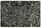 Artist: b'Kngwarreye, Lilly.' | Title: b'not titled [No.55]' | Date: 1990 | Technique: b'woodcut, printed in black ink, from one block'
