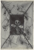 Artist: Uhlmann, Paul. | Title: New Insecta Queensland by A A Girault. | Date: 1989 | Technique: etching