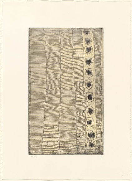 Artist: b'WARLAPINNI, Freda' | Title: b'not titled (geometic composition of lines and dots)' | Date: 1999, May - June | Technique: b'etching, intaglio and relief printed in colour, from one plate' | Copyright: b'\xc2\xa9 Freda Warlapinni, Jilamara Arts and Craft' Artist: b'WARLAPINNI, Freda' | Title: b'not titled (geometic composition of lines and dots)' | Date: 1999, May - June | Technique: b'etching, intaglio and relief printed in colour, from one plate' | Copyright: b'\xc2\xa9 Freda Warlapinni, Jilamara Arts and Craft'