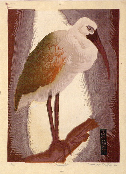 Artist: b'Griffin, Murray.' | Title: b'Thought.' | Date: 1940 | Technique: b'linocut, printed in colour, from multiple blocks'