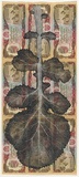 Artist: HALL, Fiona | Title: Brassica campestris - Turnip (Afghani currency) | Date: 2000 - 2002 | Technique: gouache | Copyright: © Fiona Hall