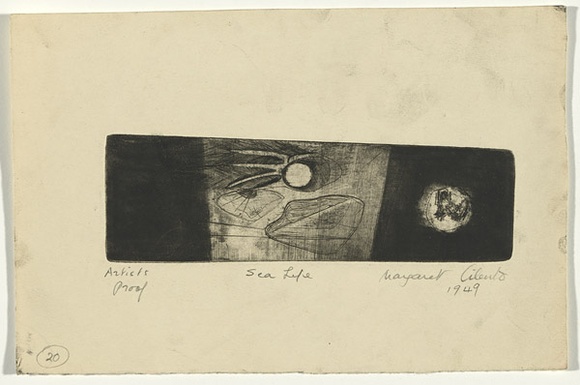 Artist: b'Cilento, Margaret.' | Title: b'Sea life.' | Date: 1949 | Technique: b'etching, drypoint, printed in black ink with plate-tone, from one plate,' Artist: b'Cilento, Margaret.' | Title: b'Sea life.' | Date: 1949 | Technique: b'etching, drypoint, printed in black ink with plate-tone, from one plate,'