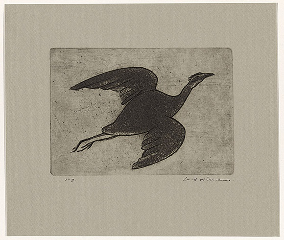 Artist: b'WILLIAMS, Fred' | Title: b'Night heron' | Date: 1962 | Technique: b'etching, aquatint and engraving, printed in black ink, from one copper plate' | Copyright: b'\xc2\xa9 Fred Williams Estate' Artist: b'WILLIAMS, Fred' | Title: b'Night heron' | Date: 1962 | Technique: b'etching, aquatint and engraving, printed in black ink, from one copper plate' | Copyright: b'\xc2\xa9 Fred Williams Estate'