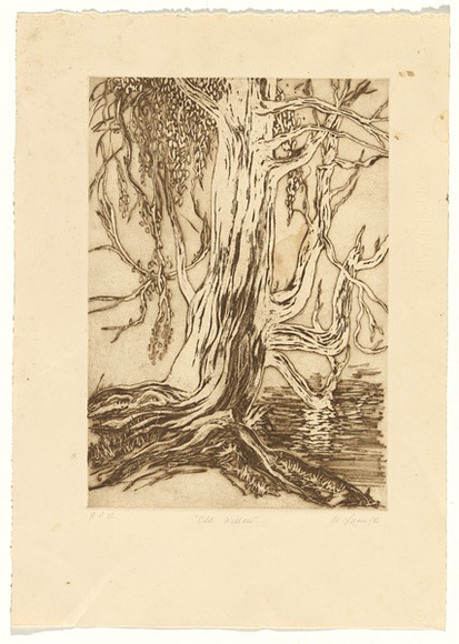 Artist: b'Lunn, Wendy.' | Title: b'Old willow' | Date: 1986 | Technique: b'etching and aquatint, printed in brown ink with plate-tone, from one plate' Artist: b'Lunn, Wendy.' | Title: b'Old willow' | Date: 1986 | Technique: b'etching and aquatint, printed in brown ink with plate-tone, from one plate'