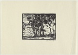 Artist: Johnson, John Godschall. | Title: not titled | Date: c.1930 | Technique: woodcut, printed in black ink, from one block