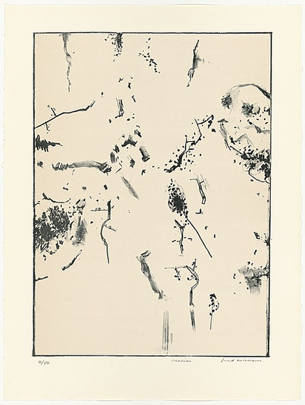 Artist: b'WILLIAMS, Fred' | Title: b'Acacias' | Date: 1977-78 | Technique: b'lithograph, printed in colour, from two zinc plates' | Copyright: b'\xc2\xa9 Fred Williams Estate' Artist: b'WILLIAMS, Fred' | Title: b'Acacias' | Date: 1977-78 | Technique: b'lithograph, printed in colour, from two zinc plates' | Copyright: b'\xc2\xa9 Fred Williams Estate'
