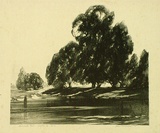 Artist: GOODCHILD, John | Title: Riverside trees | Date: 1926 | Technique: lithograph, printed in black ink, from one stone