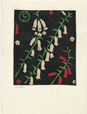 Artist: Reynell, Gladys | Title: Heath. | Date: 1923-1933 | Technique: linocut, printed in black ink, from one block; hand-coloured | Copyright: © The Estate of Gladys Reynell