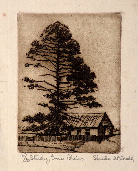 Artist: b'McDonald, Sheila.' | Title: b'Study, Emu Plains' | Date: c.1935 | Technique: b'etching printed in brown ink with plate-tone' Artist: b'McDonald, Sheila.' | Title: b'Study, Emu Plains' | Date: c.1935 | Technique: b'etching printed in brown ink with plate-tone'