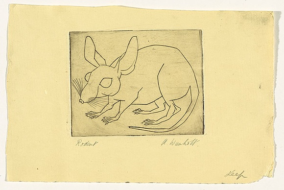 Artist: b'Wienholt, Anne.' | Title: b'Rodent' | Date: (1948) | Technique: b'line-engraving, printed in black ink with plate-tone, from one copper plate' Artist: b'Wienholt, Anne.' | Title: b'Rodent' | Date: (1948) | Technique: b'line-engraving, printed in black ink with plate-tone, from one copper plate'