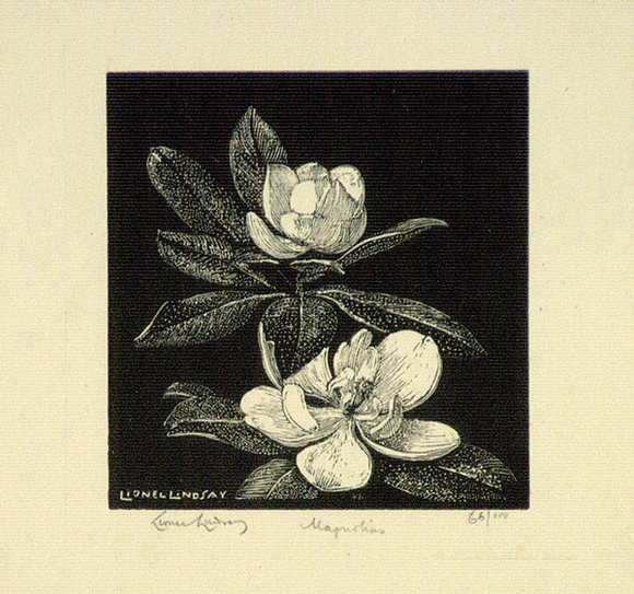 Artist: b'LINDSAY, Lionel' | Title: b'Magnolias' | Date: 1924 | Technique: b'wood-engraving, printed in black ink, from one block' | Copyright: b'Courtesy of the National Library of Australia' Artist: b'LINDSAY, Lionel' | Title: b'Magnolias' | Date: 1924 | Technique: b'wood-engraving, printed in black ink, from one block' | Copyright: b'Courtesy of the National Library of Australia'