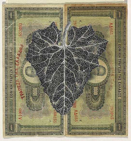 Artist: b'HALL, Fiona' | Title: b'Echallium elaterium - Squirting cucumber (Greek currency)' | Date: 2000 - 2002 | Technique: b'gouache' | Copyright: b'\xc2\xa9 Fiona Hall' Artist: b'HALL, Fiona' | Title: b'Echallium elaterium - Squirting cucumber (Greek currency)' | Date: 2000 - 2002 | Technique: b'gouache' | Copyright: b'\xc2\xa9 Fiona Hall'