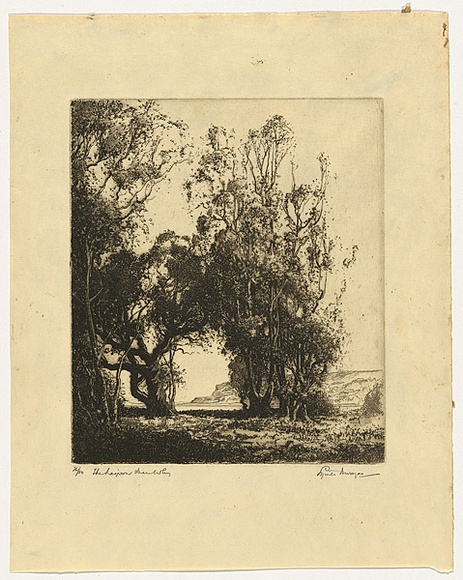 Artist: b'Morgan, Squire.' | Title: b'The lagoon, Dee Why' | Date: 1924 | Technique: b'etching, printed in black ink with plate-tone, from one plate' Artist: b'Morgan, Squire.' | Title: b'The lagoon, Dee Why' | Date: 1924 | Technique: b'etching, printed in black ink with plate-tone, from one plate'