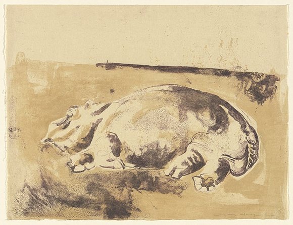 Artist: b'MACQUEEN, Mary' | Title: b'Hippo' | Date: 1967 | Technique: b'lithograph, printed in colour, from multiple plates' | Copyright: b'Courtesy Paulette Calhoun, for the estate of Mary Macqueen' Artist: b'MACQUEEN, Mary' | Title: b'Hippo' | Date: 1967 | Technique: b'lithograph, printed in colour, from multiple plates' | Copyright: b'Courtesy Paulette Calhoun, for the estate of Mary Macqueen'