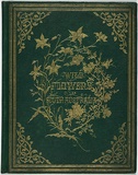 Artist: De Mole, Fanny. | Title: Wild flowers of South Australia | Date: 1861 | Technique: lithographs, printed in black ink, each from one stone; hand-coloured