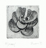 Artist: SHEARER, Mitzi | Title: not titled | Date: 1991 | Technique: etching, printed in black ink with plate-tone, from one plate