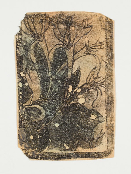 Artist: b'Sutherland, Jean.' | Title: b'not titled [light flower, dark background]'