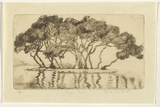 Artist: Bullock, Myra. | Title: High tide. | Date: c.1930 | Technique: etching, printed in brown ink, from one plate