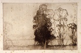 Artist: b'Long, Sydney.' | Title: b'Landscape, Gosford' | Date: 1928, before | Technique: b'line-etching, printed in brown ink from one copper plate' | Copyright: b'Reproduced with the kind permission of the Ophthalmic Research Institute of Australia'