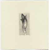 Artist: SCHMEISSER, Jorg | Title: 1. Engraving | Date: 1984 | Technique: line-engraving, printed in black ink, from one copper plate | Copyright: © Jörg Schmeisser