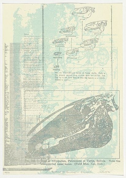 Artist: b'Hill, Tanya.' | Title: b'A question of balance - evolution.' | Date: 1992 | Technique: b'lithograph, printed in colour, from three stones' Artist: b'Hill, Tanya.' | Title: b'A question of balance - evolution.' | Date: 1992 | Technique: b'lithograph, printed in colour, from three stones'