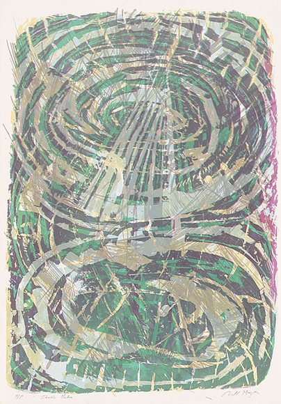 Artist: b'MEYER, Bill' | Title: b'Double vortex' | Date: 1987 | Technique: b'screenprint, printed in colour, from reduction block out, direct screen process' | Copyright: b'\xc2\xa9 Bill Meyer' Artist: b'MEYER, Bill' | Title: b'Double vortex' | Date: 1987 | Technique: b'screenprint, printed in colour, from reduction block out, direct screen process' | Copyright: b'\xc2\xa9 Bill Meyer'