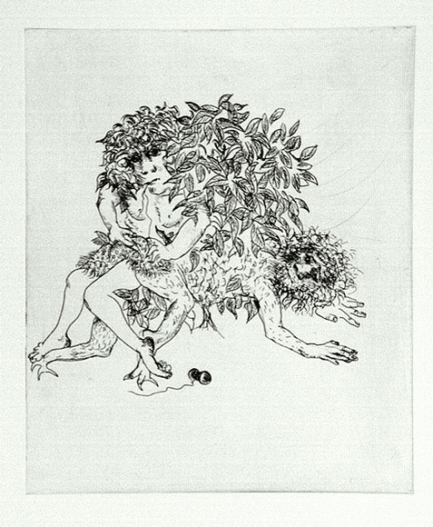 Artist: b'BOYD, Arthur' | Title: b'Story of a ruined man.' | Date: c.1970 | Technique: b'etching, printed in black ink, from one plate' | Copyright: b'Reproduced with permission of Bundanon Trust' Artist: b'BOYD, Arthur' | Title: b'Story of a ruined man.' | Date: c.1970 | Technique: b'etching, printed in black ink, from one plate' | Copyright: b'Reproduced with permission of Bundanon Trust'