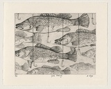 Artist: b'Virgo, Anne.' | Title: b'Gone fishing' | Date: 1999 | Technique: b'etching; collaged addition of cotton and metal hooks'
