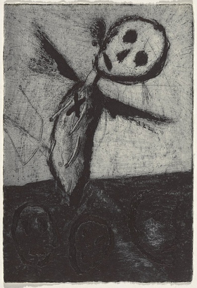 Artist: b'Uhlmann, Paul.' | Title: b'New Insecta Queensland by A A Girault.' | Date: 1989 | Technique: b'etching' Artist: b'Uhlmann, Paul.' | Title: b'New Insecta Queensland by A A Girault.' | Date: 1989 | Technique: b'etching'