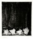 Artist: SHEARER, Mitzi | Title: Variation on a theme | Date: 1978 | Technique: etching, printed in black ink, from one  plate