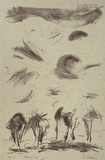 Artist: b'Trenfield, Wells.' | Title: b'Breezy day' | Date: 1983 | Technique: b'lithograph, printed in black ink, from one stone'