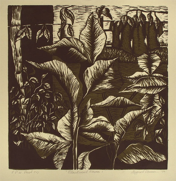 Artist: b'Hormann, Margaret.' | Title: b'Blackwood house I' | Date: 1986 | Technique: b'linocut, printed in green ink, from two blocks' Artist: b'Hormann, Margaret.' | Title: b'Blackwood house I' | Date: 1986 | Technique: b'linocut, printed in green ink, from two blocks'