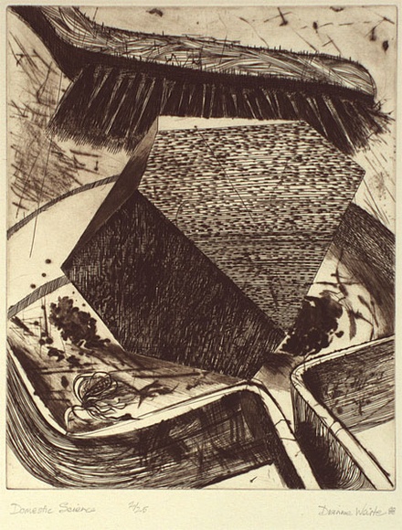 Artist: b'Waite, Dianne.' | Title: b'Domestic Science' | Date: 1988 | Technique: b'etching, printed in sepia ink, from one plate' Artist: b'Waite, Dianne.' | Title: b'Domestic Science' | Date: 1988 | Technique: b'etching, printed in sepia ink, from one plate'