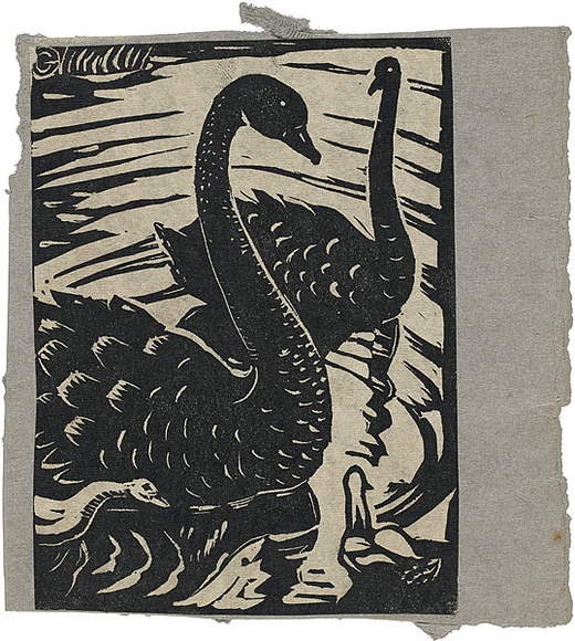 Artist: Reynell, Gladys | Title: (Black swans). | Date: 1923-1933 | Technique: linocut, printed in black ink, from one block | Copyright: © The Estate of Gladys Reynell